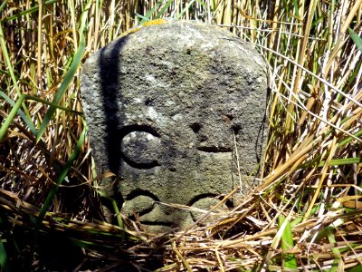 CH20 Boundary Stone, Hooe Level