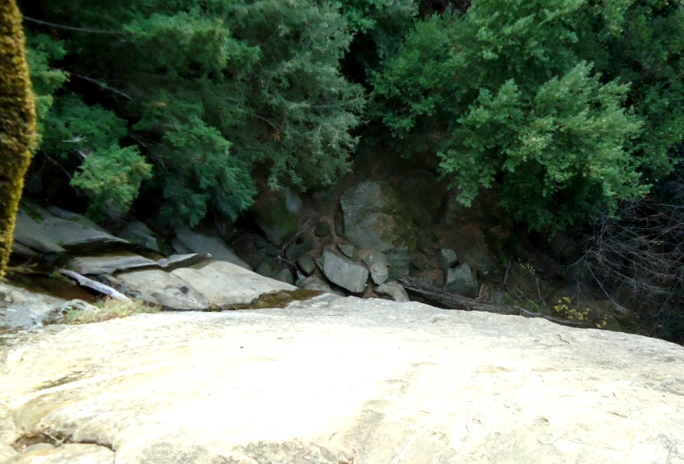 Camera looking straight down at trees in Castle Rock State Park California