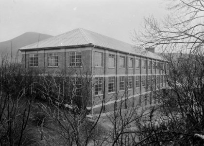 Cambrian Woollen Mill, Llanwrtyd (1294895)