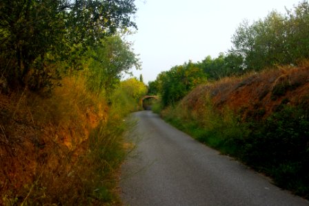 Camí Vell de Salou