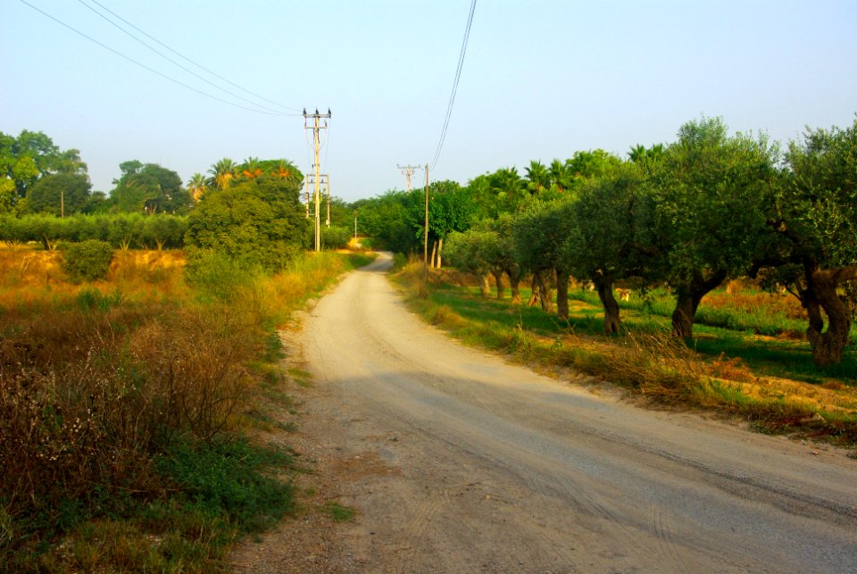 Camí del Mas de les Monges