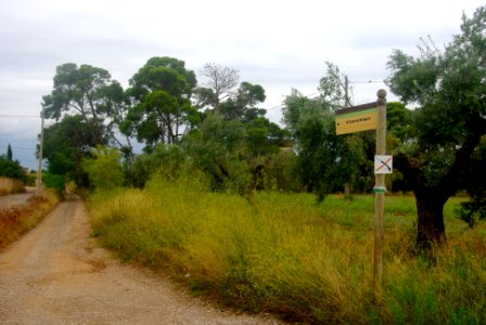 Camí del Burgaret