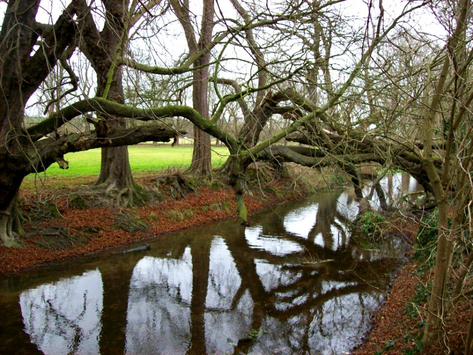 Cam at Harston