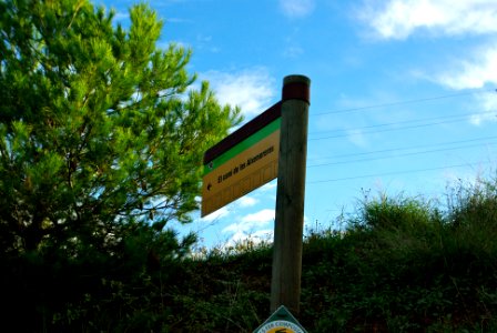 Camí d'Aixemoreres
