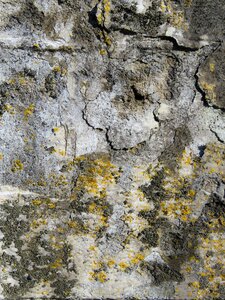 Plaster structure weave