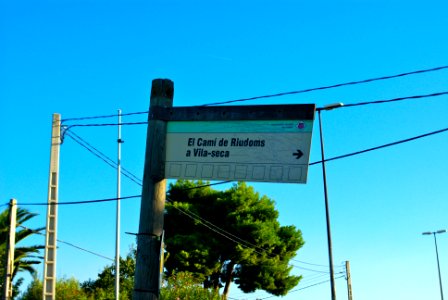 Camí de Riudoms a Vilaseca