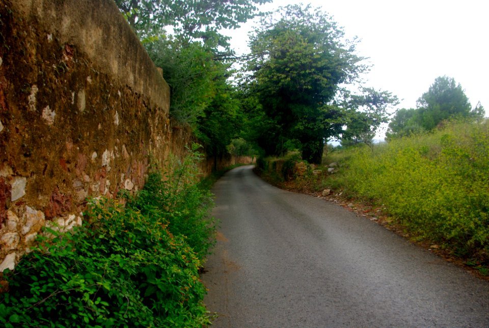 Camí de la Pedrera del Coubi1