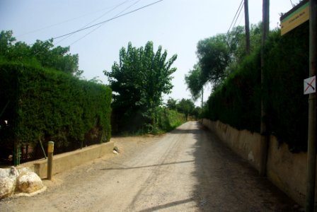 Camí dels Morts