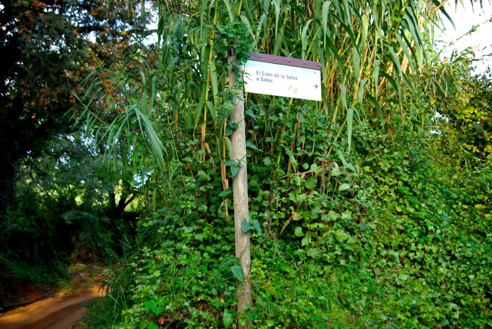 Camí de la Selva a Salou