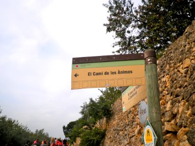 Camí de les Ànimes01