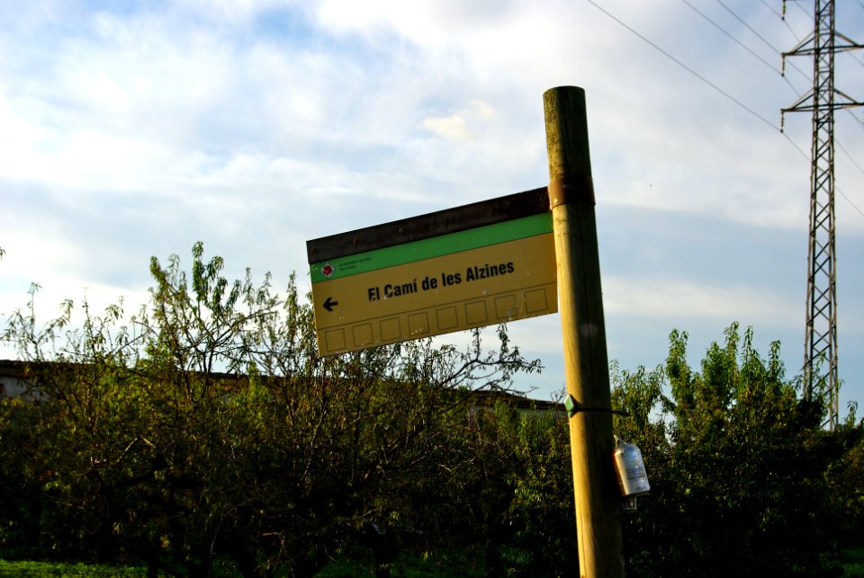 Camí de les Alzines