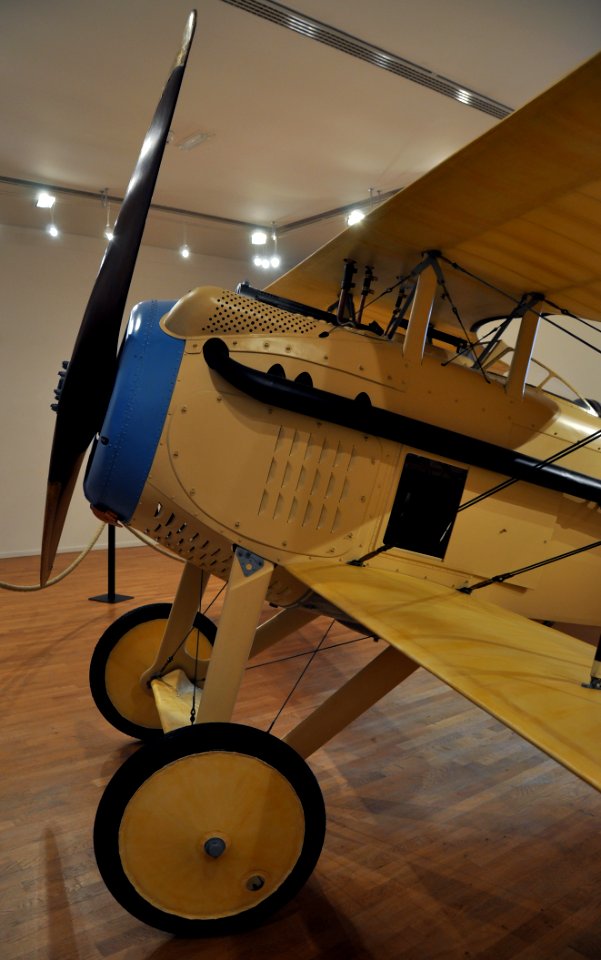 Cambrai SPAD VII 221109 03