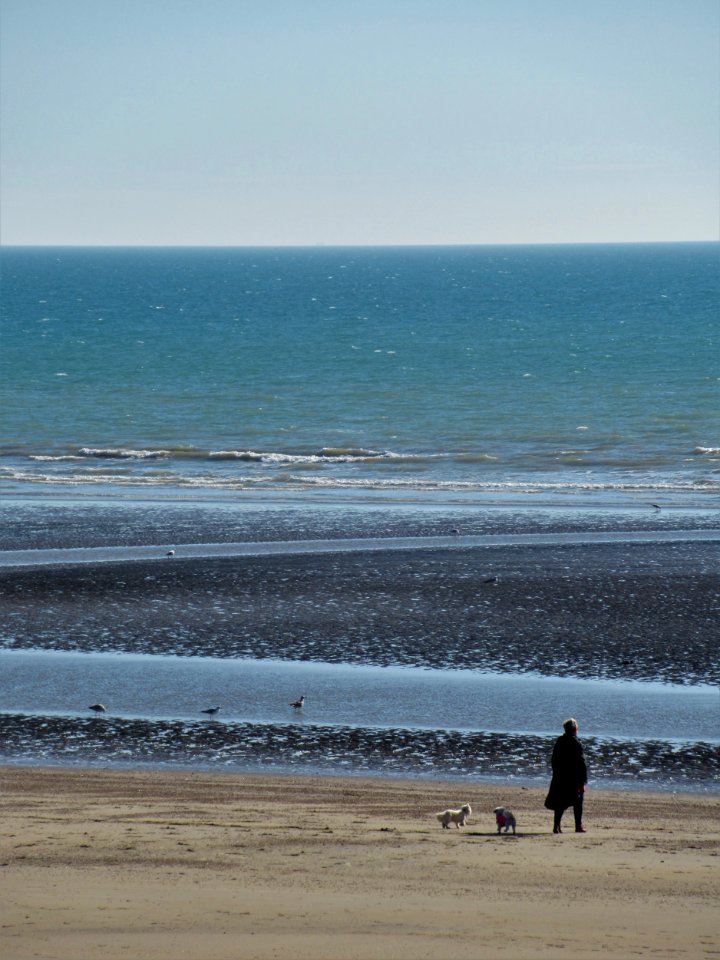 Camber Sands, March 2021, 02