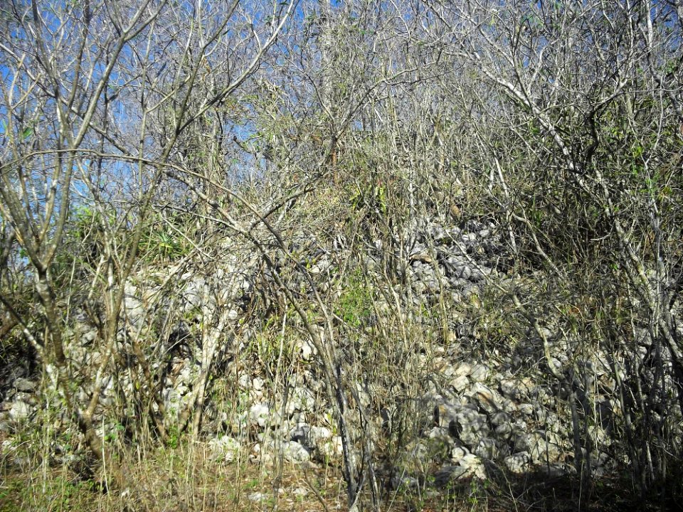 Calotmul (Yaxkukul), Yucatán (15)