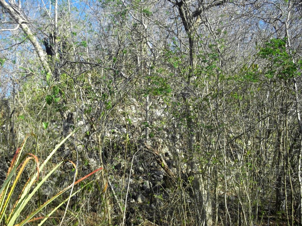 Calotmul (Yaxkukul), Yucatán (13)