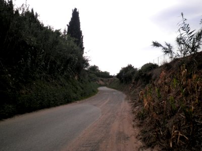 Camí del Roquís