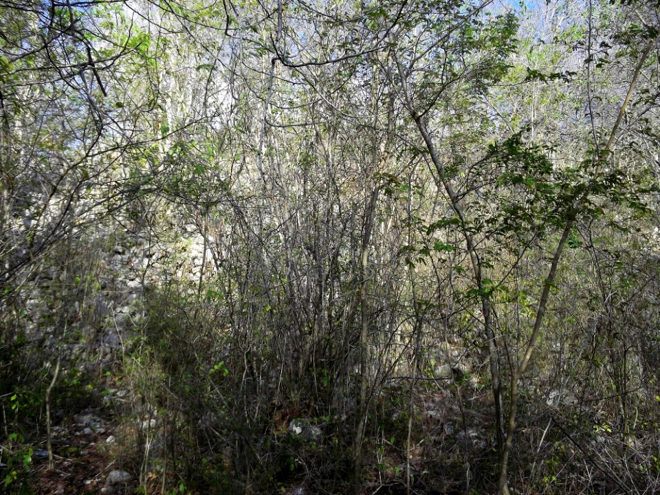 Calotmul (Yaxkukul), Yucatán (32)