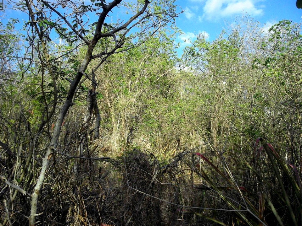 Calotmul (Yaxkukul), Yucatán (27)