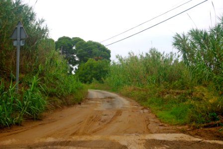 Camí del Mas de la Sena