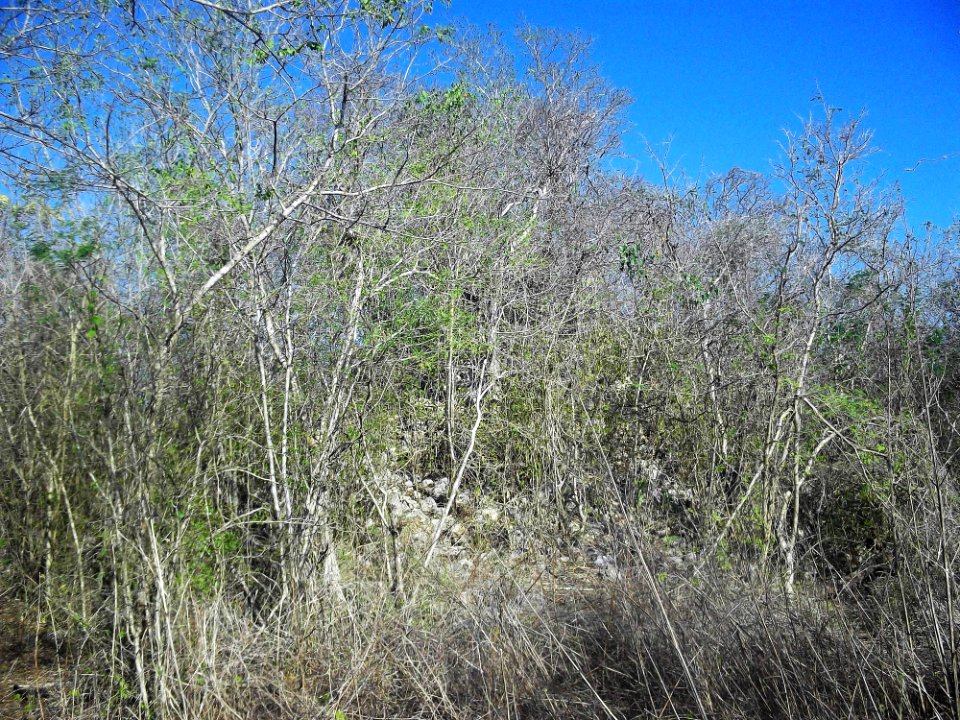 Calotmul (Yaxkukul), Yucatán (05)