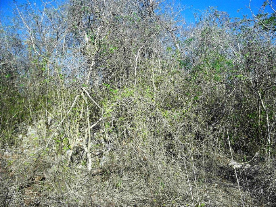 Calotmul (Yaxkukul), Yucatán (04)
