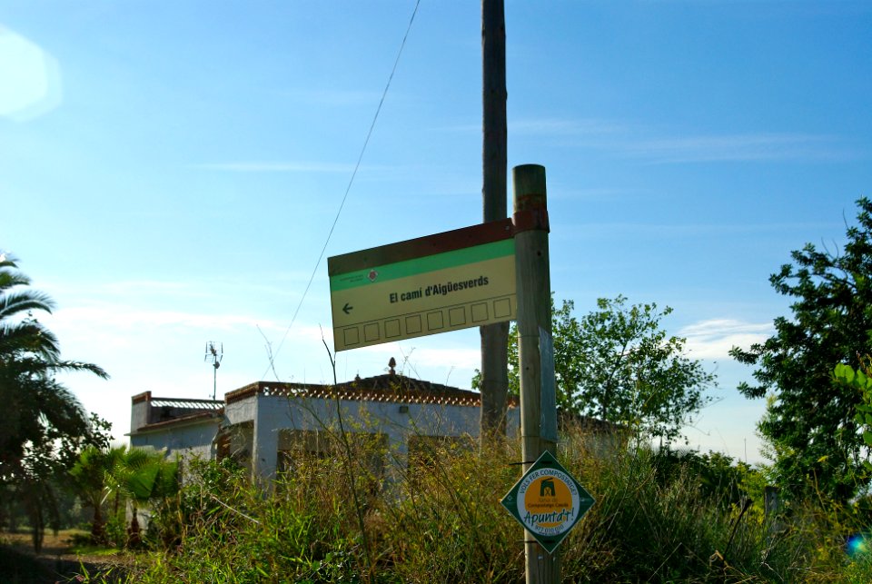 Camí d'Aigüesverds1