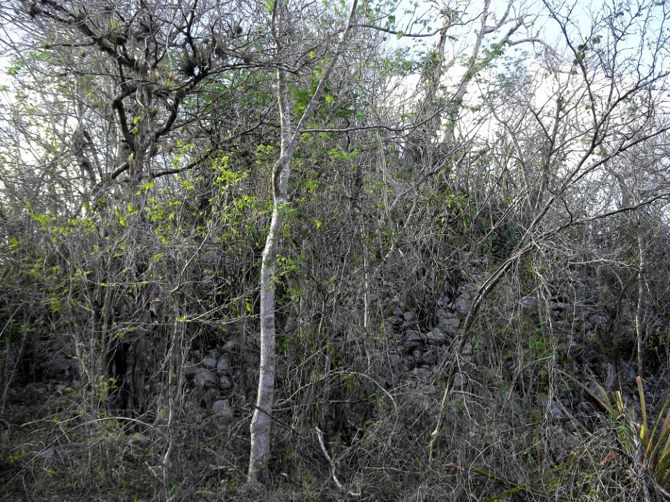 Calotmul (Yaxkukul), Yucatán (26)