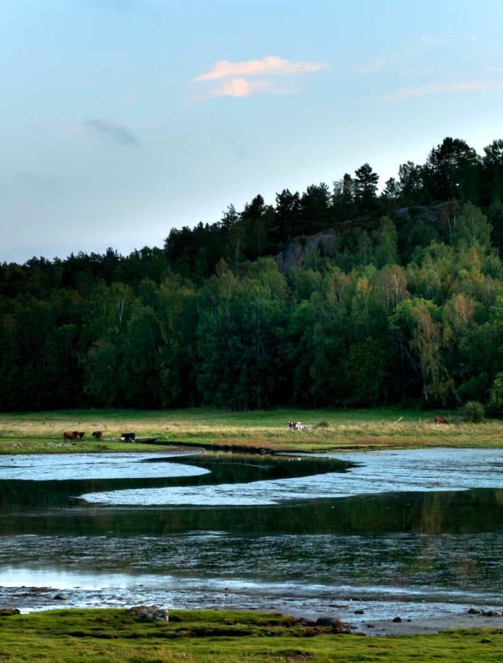Calm evening in Norrkila bay