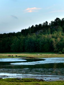 Calm evening in Norrkila bay