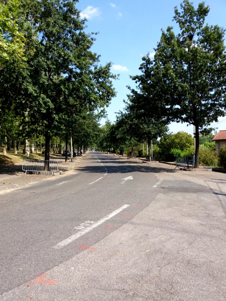 Caluire-et-Cuire - Allée du Parc de la Jeunesse, depuis la rue Docteur Laënnec