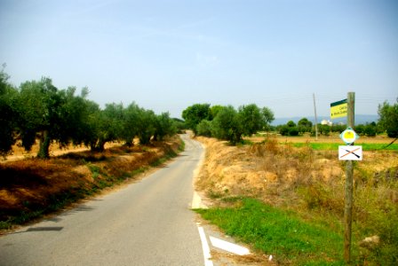 Camí del Mas de Guardià