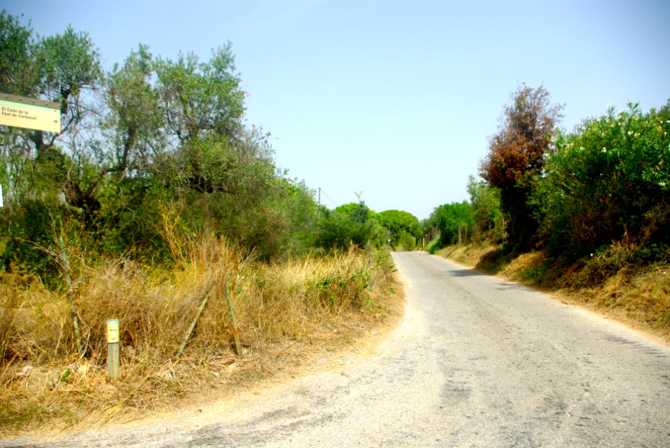 Camí de la Font del Carbonell