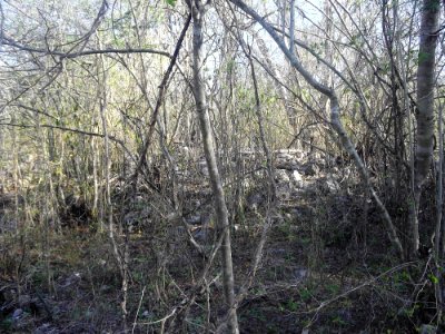 Calotmul (Yaxkukul), Yucatán (08)