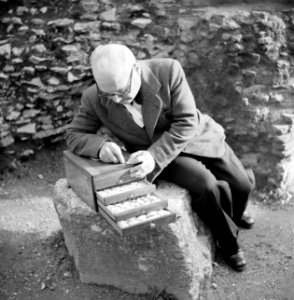 Cameesnijder aan het werk zittend op een steen bij het Colosseum, Bestanddeelnr 191-1235 photo
