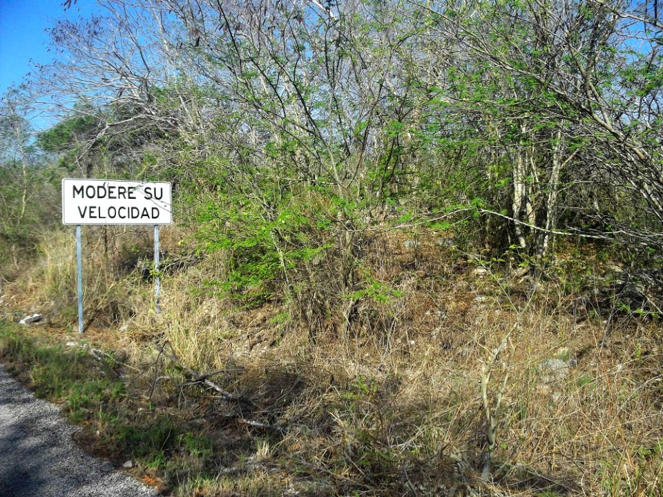 Calotmul (Yaxkukul), Yucatán (20)
