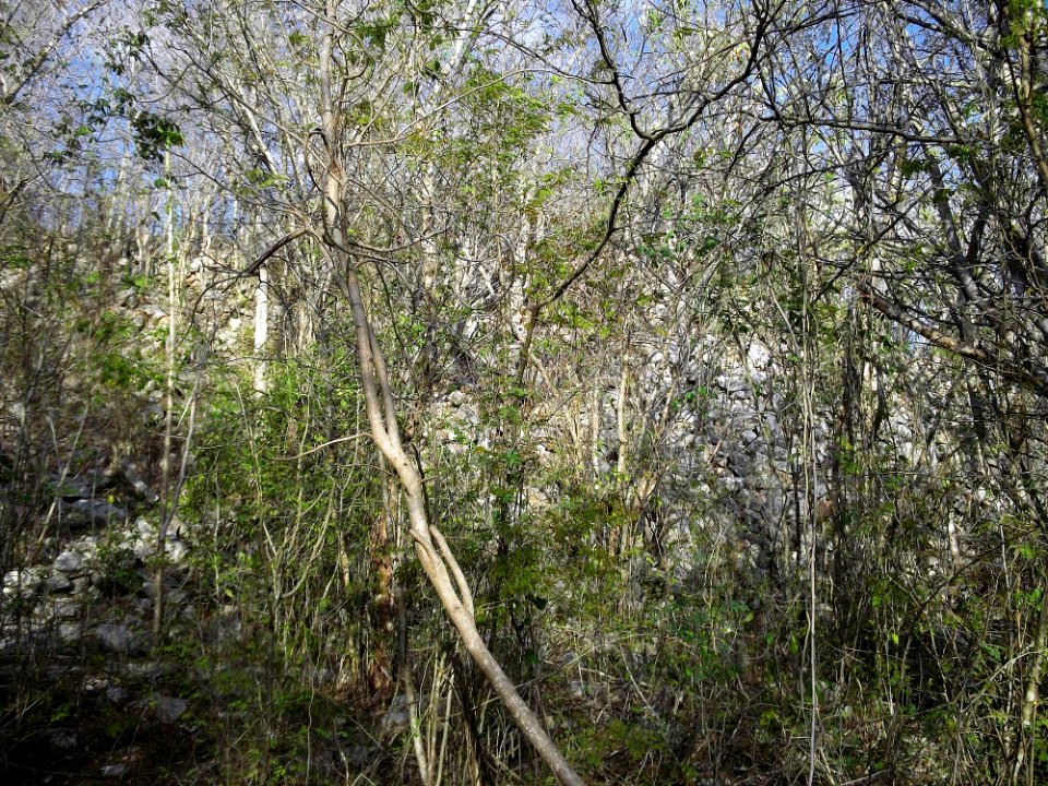 Calotmul (Yaxkukul), Yucatán (31)