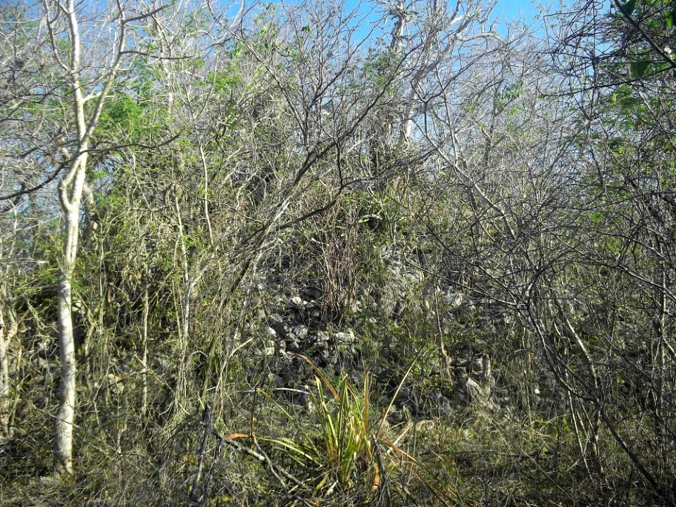 Calotmul (Yaxkukul), Yucatán (16)