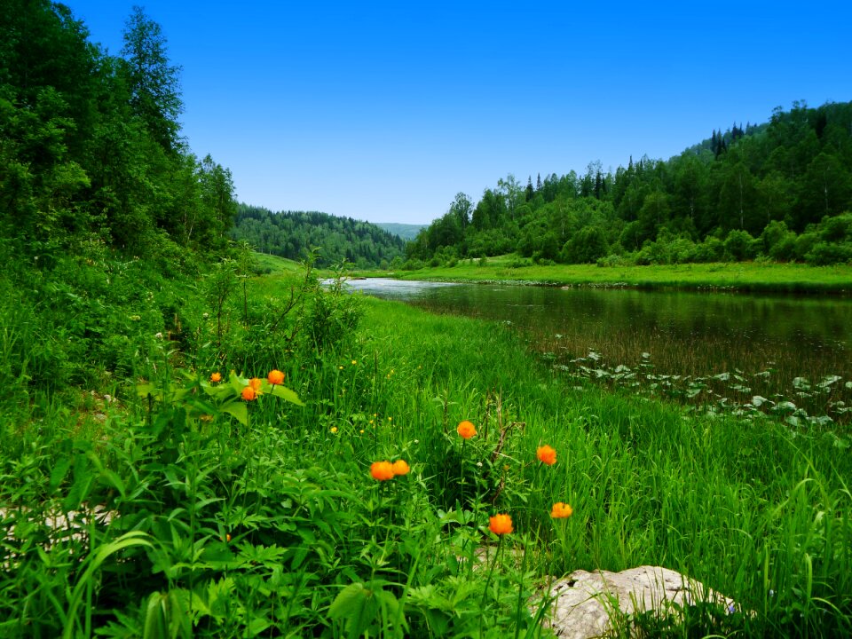 June river siberia