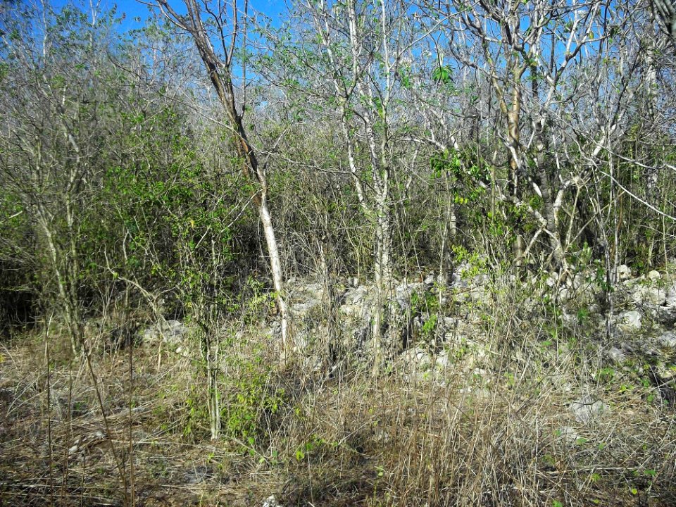 Calotmul (Yaxkukul), Yucatán (12)