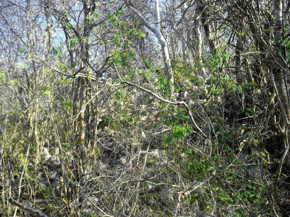 Calotmul (Yaxkukul), Yucatán (07)