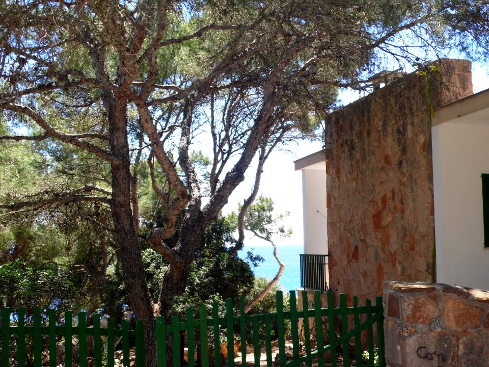 CALA SANTANYI - Majorka, AB-041