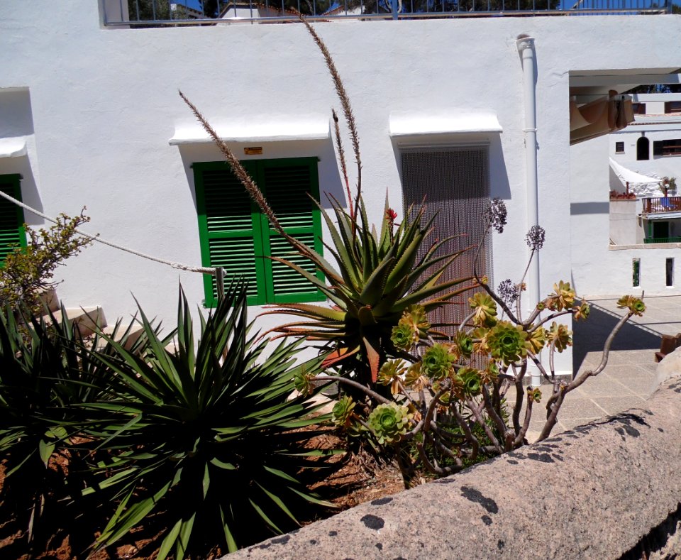 CALA SANTANYI - Majorka, AB-027
