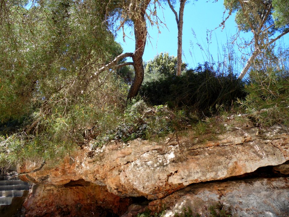 CALA SANTANYI - Majorka, AB-011