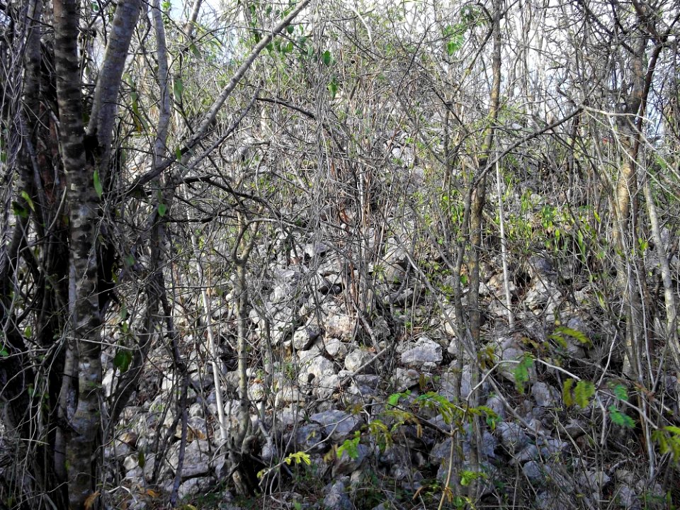 Calotmul (Yaxkukul), Yucatán (25)