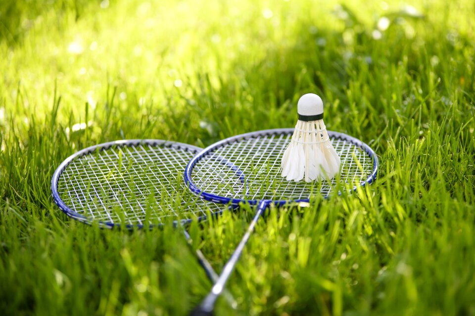 Adopt a garden summer dart
