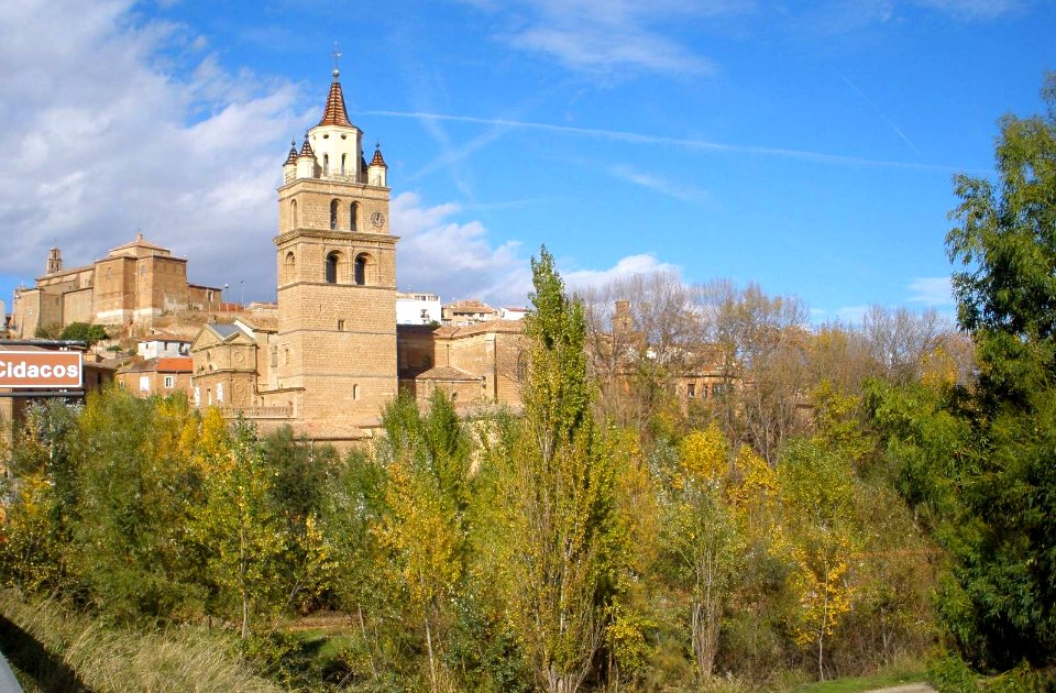 Calahorra - Catedral 14