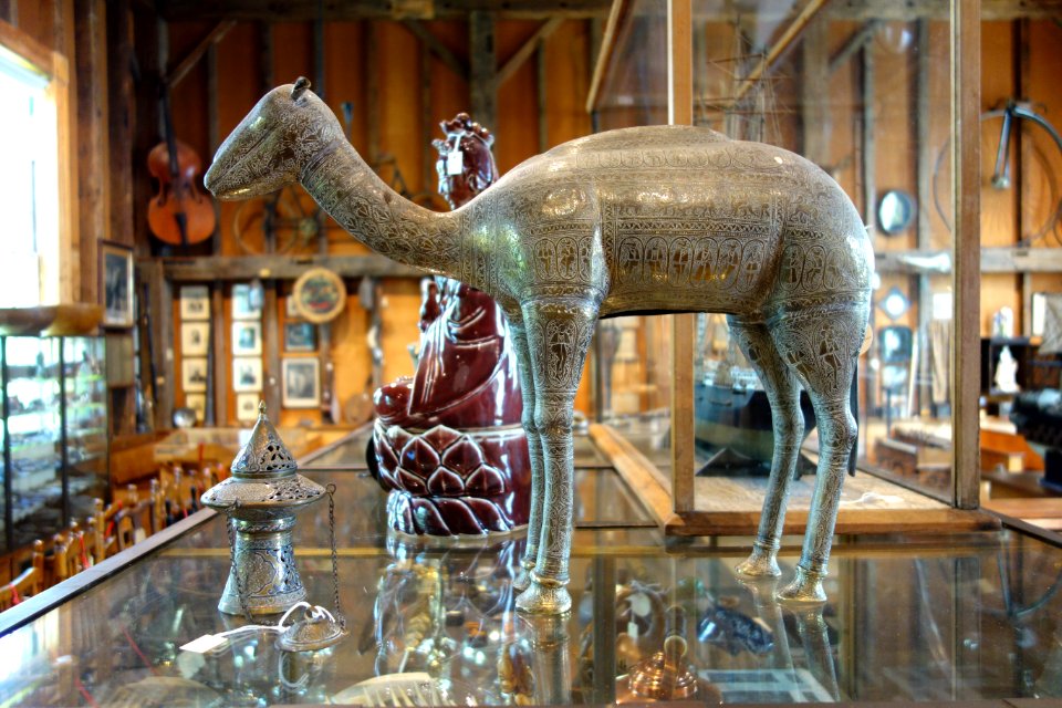 Camel - Joseph Allen Skinner Museum - DSC07860