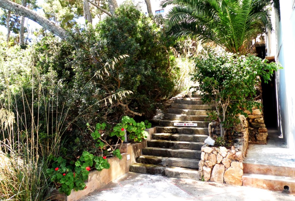 CALA SANTANYI - Majorka, AB-022