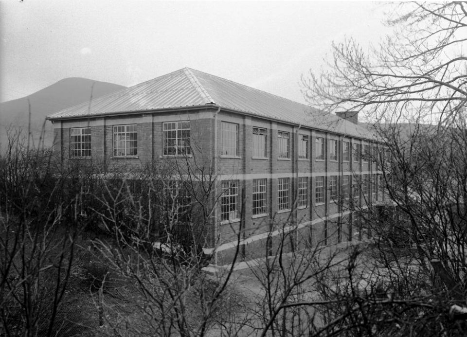 Cambrian Woollen Mill, Llanwrtyd (1294784)
