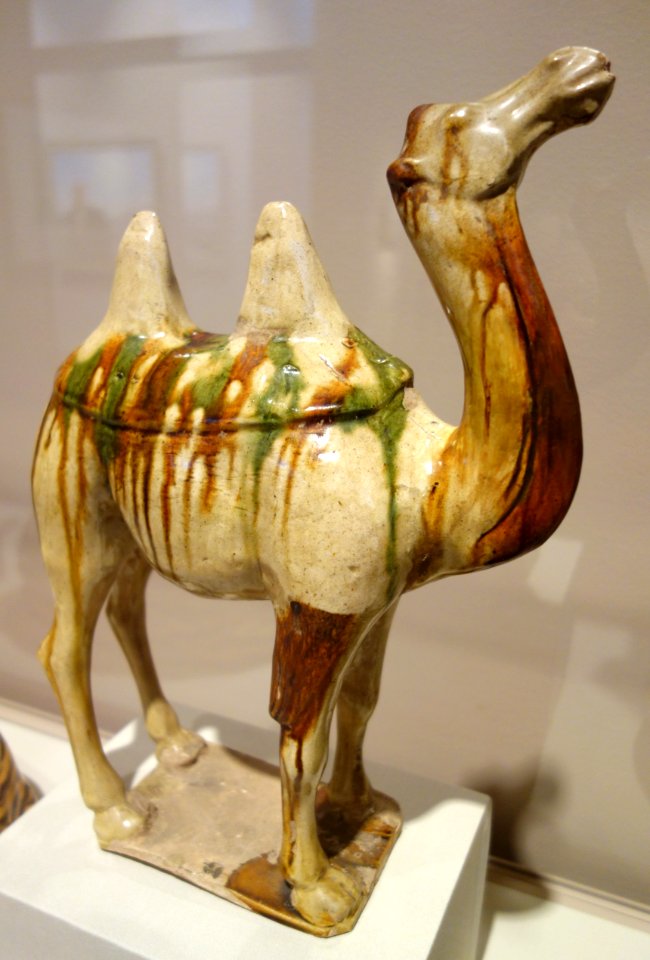 Camel, China, Tang Dynasty, 618-906 AD, glazed earthenware - Chazen Museum of Art - DSC01629